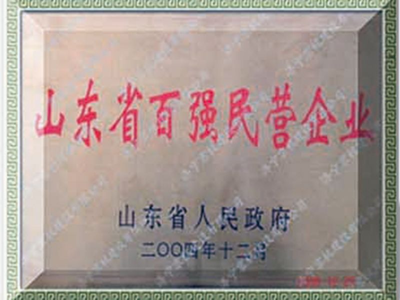 山東省百強(qiáng)民營企業(yè)