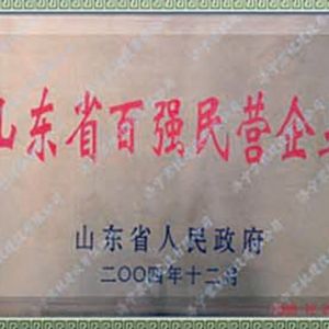 山東省百強(qiáng)民營企業(yè)